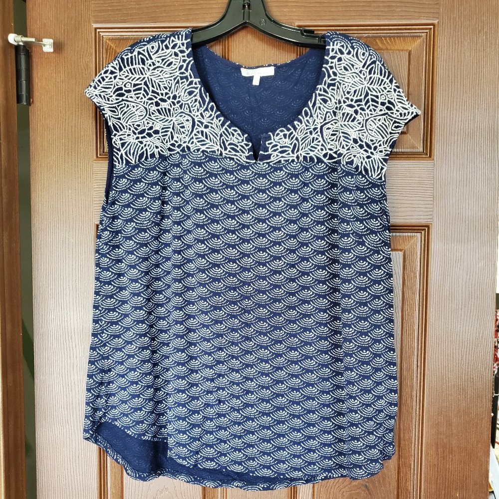 Blue Blouse
